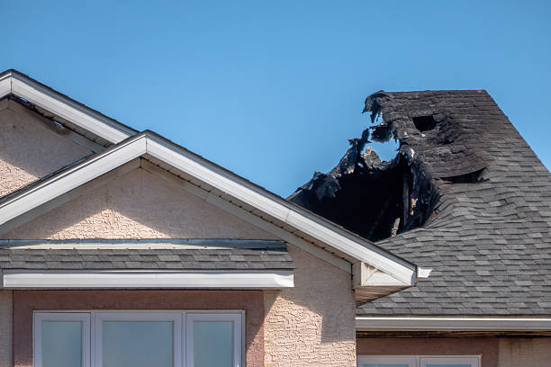 Licensed Fire Damage Removal service in Dassel, MN - Fire Damage Biloxi